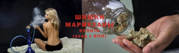 винт Майский