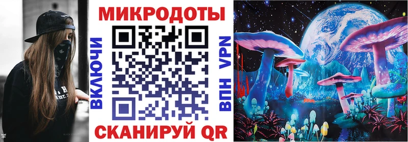 где найти   Черемхово  Псилоцибиновые грибы Psilocybine cubensis 
